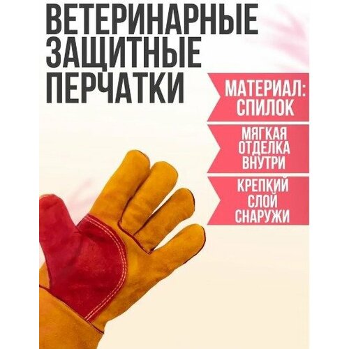 ���� ������������ �������� �������� / ������� ��� �������� / ������������� �������� ��� ������ ���, ������ ������