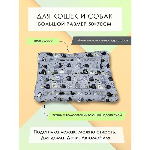 ���� ���������-����� ��� �����/����� 