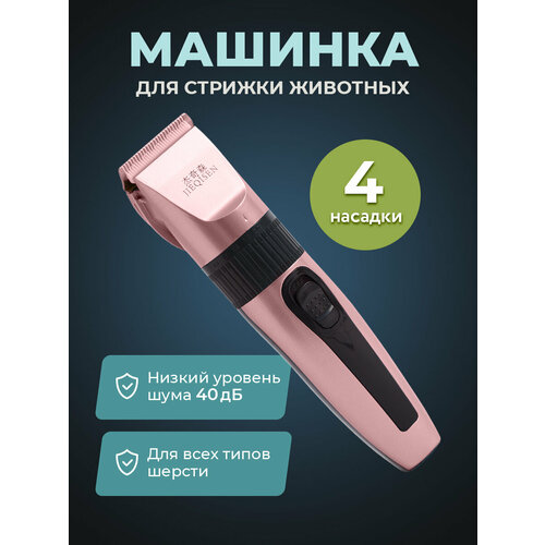 ���� ������� ��� ������� � ��������� ��������, ������� ��� ������� ����� � �����, �������, � ������� ������� � �����������, ������ ������