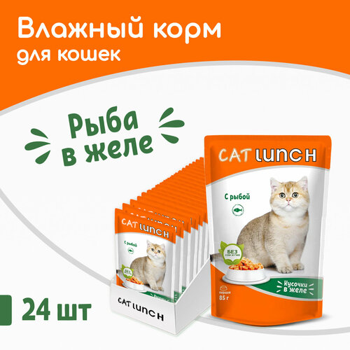      Cat Lunch   24 .  2040  (  )   -     , -  