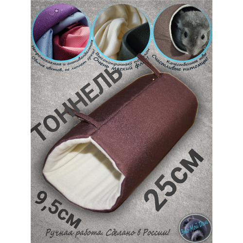 ���� ������� ��� ��������, ����, ����� �����, �����, ��������, ����������, ��������� �������, ������ ������