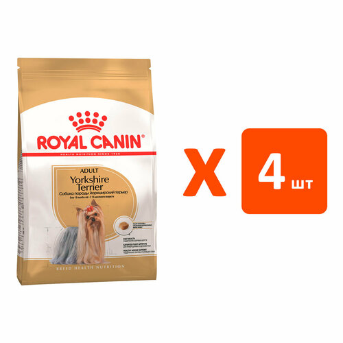  ROYAL CANIN YORKSHIRE TERRIER ADULT      (3   4 )   -     , -  