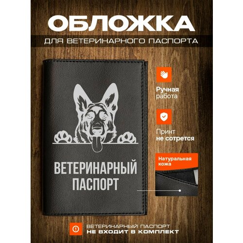 ���� ������� �� ������������ ������� ��� ����� � ������� �������� �������, ������ ������