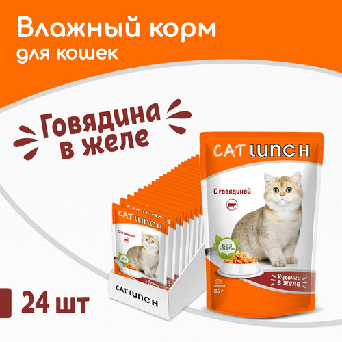      Cat Lunch   24 .  2040  (  )   -     , -  