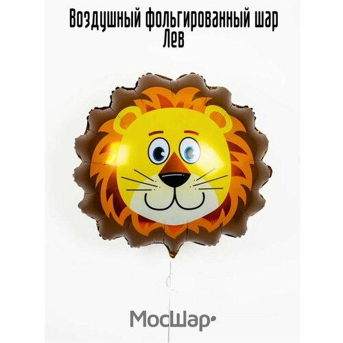 ���� ��������� ��� �������������� ������ ������ ����, ������ ������