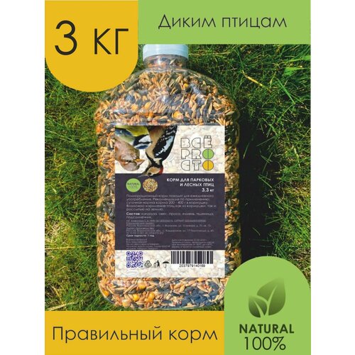 ���� ���� ��� �����, �������� � ������ ����, ������ ������