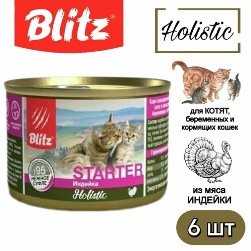  Blitz Holistic Starter  -  ,     200   6    -     , -  