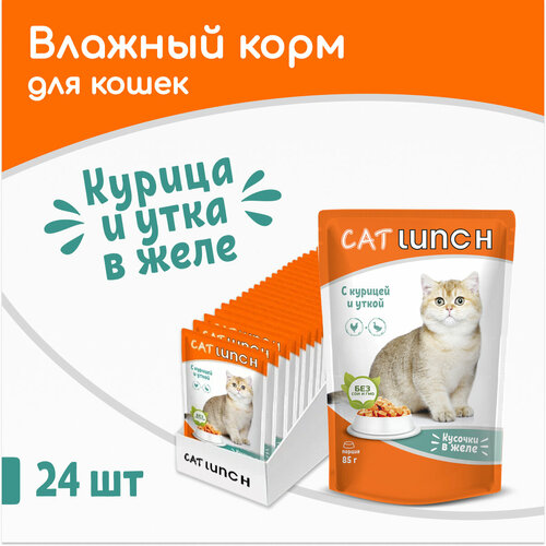      Cat Lunch      ,  8524   -     , -  