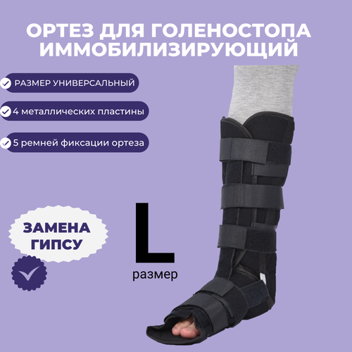 ���� ����� ���������������� �� ������������� ������, � �������������� ����������. ����� ����������� ����������������� , ��� �������, �������, ���������, ������ � �����������. ������� / �������, ����� /������ - (L), ������ ������