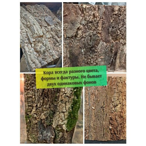 ���� ��� ��� ���������� 70*32�� �������� 3D �� ��������� ���� �����������, ������ ������