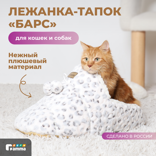 ���� ����� ��� ����� � ����� ����� ���� ����� 56�30�24 �� 56 �� 30 �� �������� ������� 24 ��, ������ ������