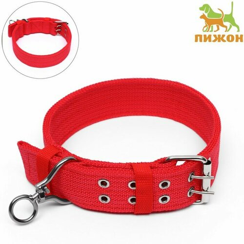 ���� ������� �������������� � ���������, 65 � 4 ��, �� 54-60 ��, ���������, ������� 9623799, ������ ������