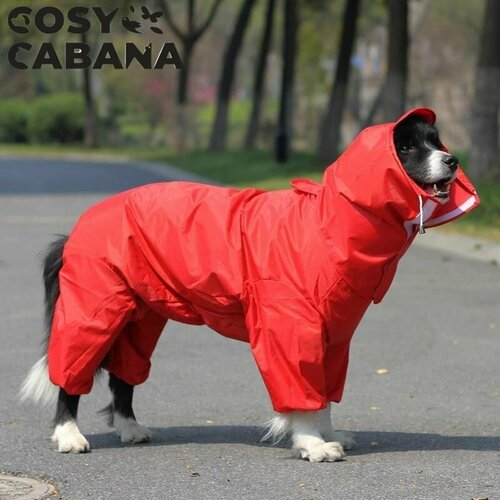 ���� �������� ���� ��� �����, ���������� ������� � ��������� �� ����� � ����� / ������ �18, �������, ������ ������