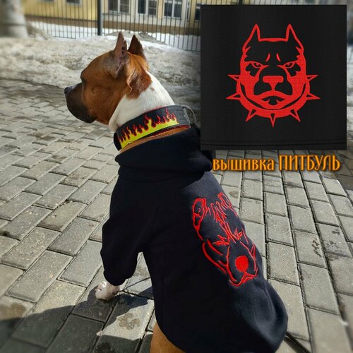 ���� ���� ��� ����� � �������� �������-����� �� DOGTON ������� � ������� �����. ���� � ������� � ��������� ��� ��������. ������ 