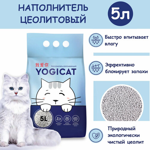        YogiCat 5    -     , -  