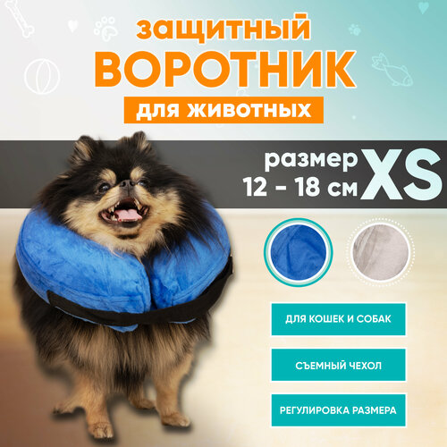         Mr Dog, XS   -     , -  