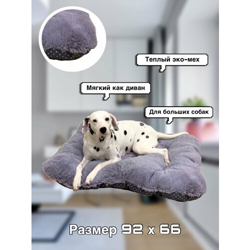 ���� �������-������ ���� ���� ��� ������� � ������� �����, ������ L 92 � 66, �����, ������ ������