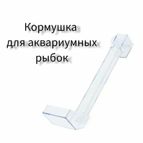 ���� �������� ��� ����������� ���, ������ ������