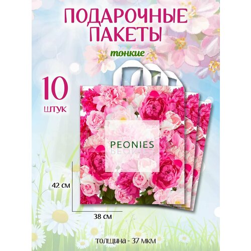 ���� ���������� ������ ����� ��������������, ������ ������