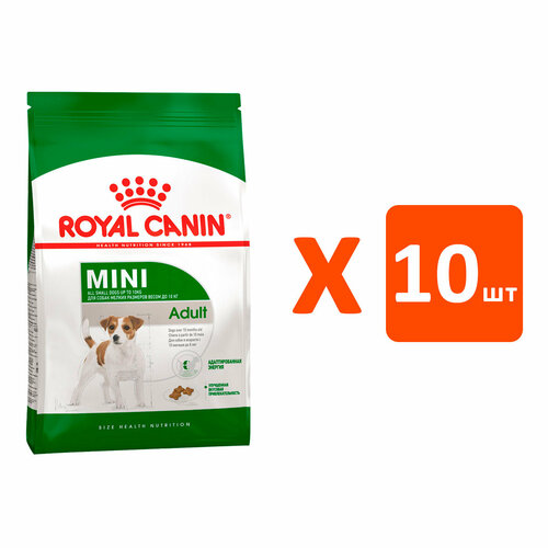  ROYAL CANIN MINI ADULT      (0,8   10 )   -     , -  