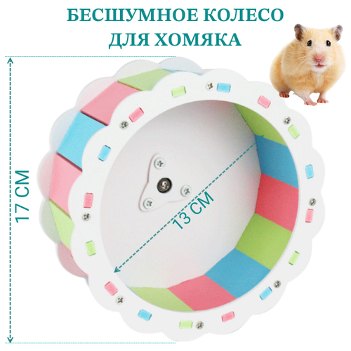 ���� ������ ��� ������ 17 �� ������� ������� ��������� �����������, ������� ������ ��� ��������, ������ ��� ����������, ������� ������ ��� ������, ������ ������