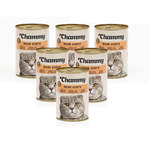      Chammy  -   / 415*6    -     , -  