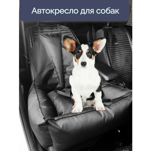 ���� ���������� ��� ����� 