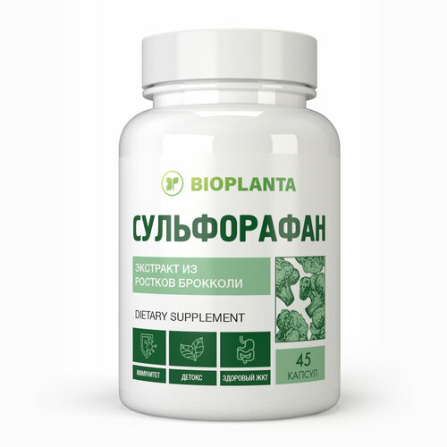 ���� �����������, ������ ������