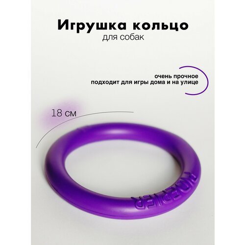 ���� ������ ��� ����� ������, ������ ������