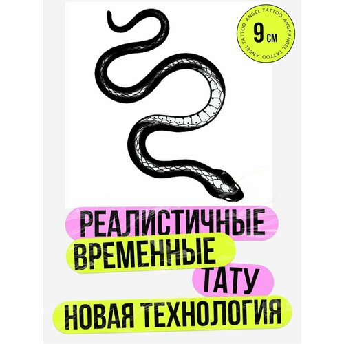 ���� ���� ���������� �������������� �������� ����, ������ ������