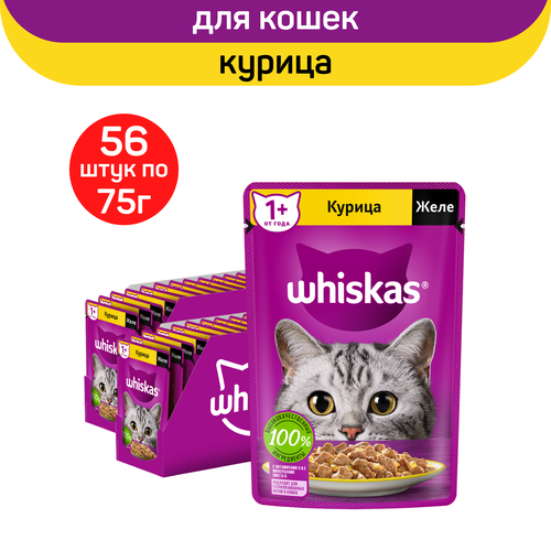     Whiskas   ,   , 75.  56.   -     , -  