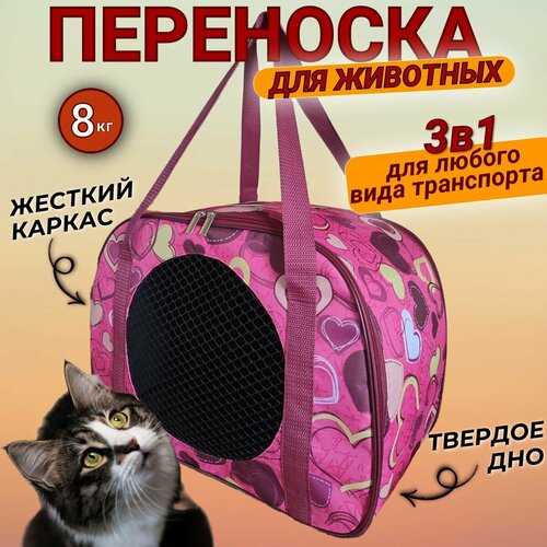 ���� ����� ��������� ��� ����� ����� �������� ������� ���-3_������������ ������ ����� 