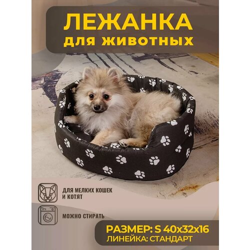 ���� ������� ��� ����� � ����� ������ �����, ����, ������ ������