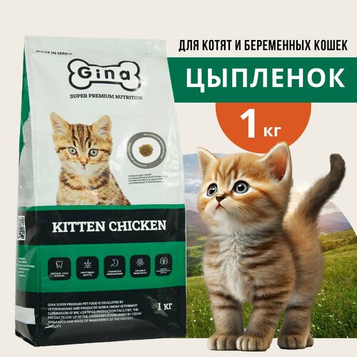    ,      Gina Kitten Chicken, , , 1    -     , -  