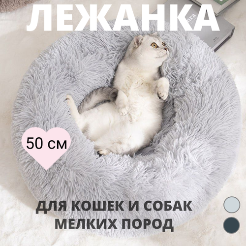 ���� ������� ��� ����� � ����� ������ �����, ����� ��� �����, ���� ������-�����, 50 ��, ������ ������