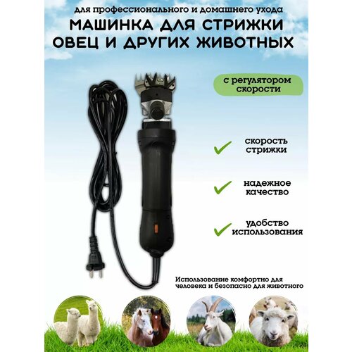 ���� ������� ��� ������� ���� � ��������, ������ ������