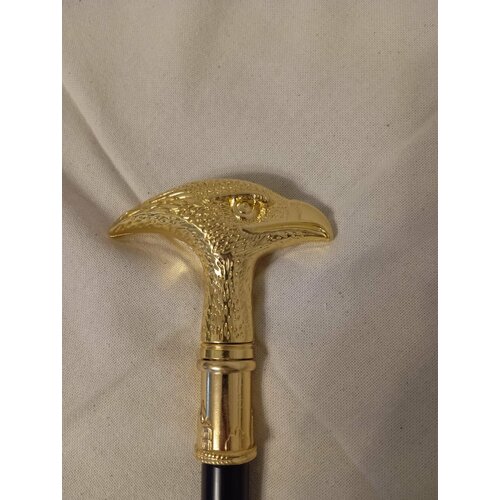 ���� ������ ������� � �������� 