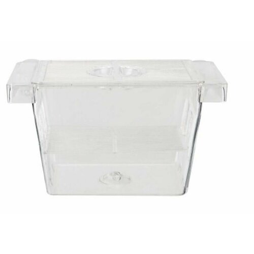 ���� Homefish �������� ��� ������� �����������, 22 �� � 9,5 �� � 10 ��, ������ ������