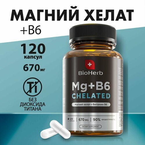  BioHerb MAGNESIUM + B6 ( + 6) , 120    -     , -  