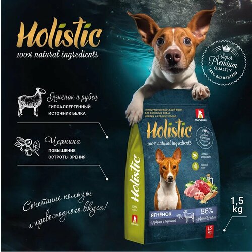           , Holistic      1,5 .   -     , -  