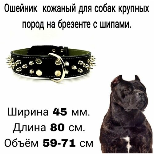 ���� ������� ��� ������� ����� ����� �� ����������� ���� � �������� � ������, ������ 45 ��, ����� 80 ��, ����� ��� 59-71 ��., ������ ������