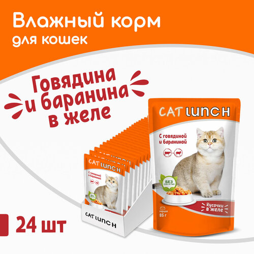      Cat Lunch      ,  8524   -     , -  