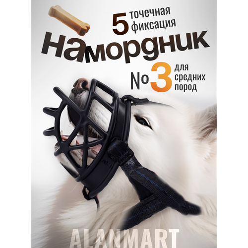 ���� ��������� ��� ������� �����, ��� ����� �����, �����, �������� �������, ���� ���, �������, ���������������, ������ �3 (L), ������, ������ ������