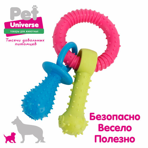     Pet Universe   2-  23,5 , , PU3065   -     , -  