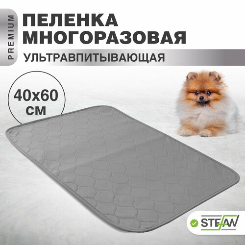       STEFAN (),  (, ),  ,  4060, WP-40601   -     , -  