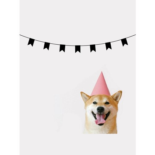 ���� �������� �������� �������� �� ���� ������ - ������, ������ ������