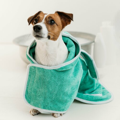 ���� ����������������� ��������� ����� ��� ����� / ������ S, ������ ������