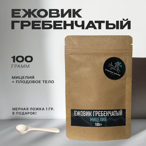 ���� ������ ����������� 100�� / ��������� ������� / ���� �� �����, ������ ������