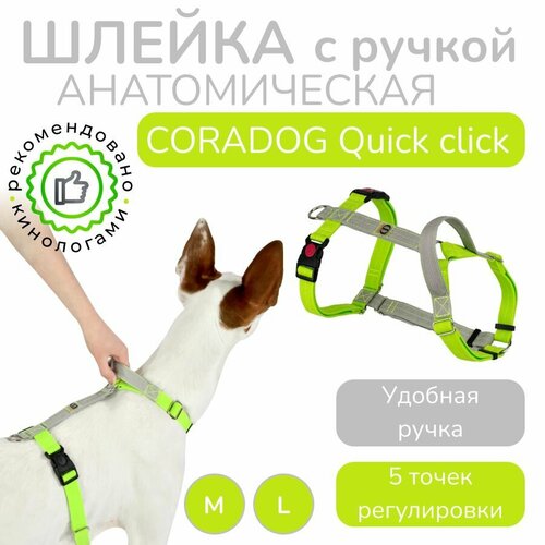            , CORADOG Quick click,  M,  ,    -     , -  