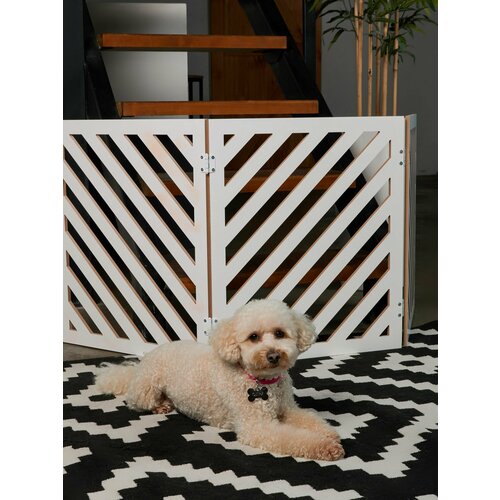 ���� ������ ����������� ��� ����� . ���������� ��� �����. ���� �����. ������ 58 �� ������ 100 ��., ������ ������